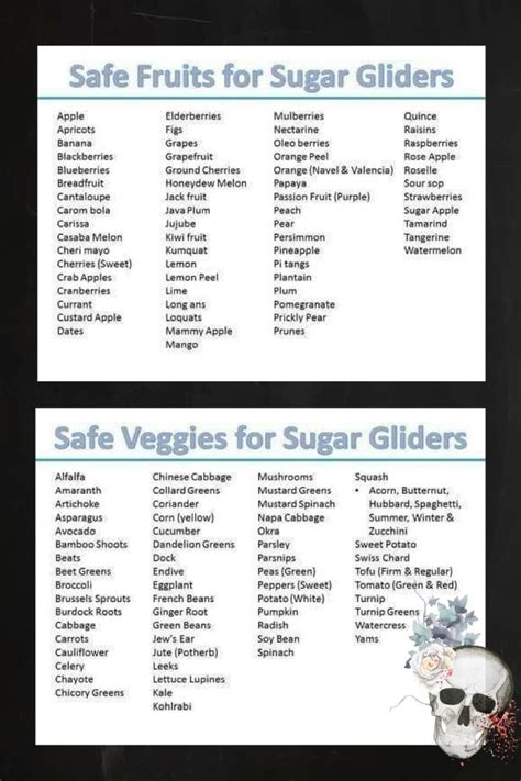 Safe Sugar Glider Food List | atelier-yuwa.ciao.jp