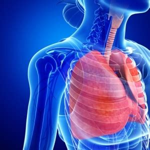 Pleural biopsy | Life