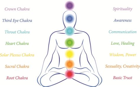 Pranic Healing and Balancing Chakras Orlando Florida | Acupuncture in ...