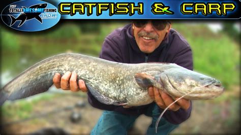 Catfish & Carp Fishing Tips | TAFishing - YouTube