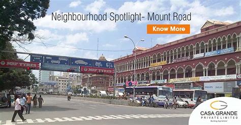 Apartments on Mount Road - Neighbourhood Spotlight