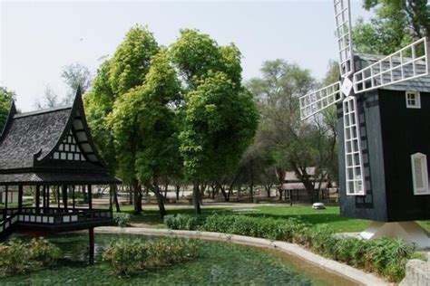 10 Fun Ways to Enjoy Mushrif Park Dubai - Dubai Travel Planner