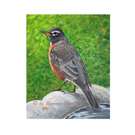 Robin, prints of original painting – Bartlett Pair Art