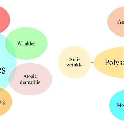 Different types of Skin ailments and major potent properties of ...