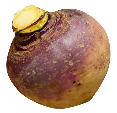 Rutabaga PNG Image - PurePNG | Free transparent CC0 PNG Image Library