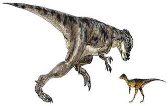 Micropachycephalosaurus dinosaurs , facts | pictures ...