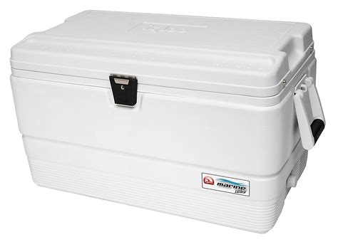 Reviewing & Ranking all of the Best Igloo Coolers of 2020 | ShedHeads