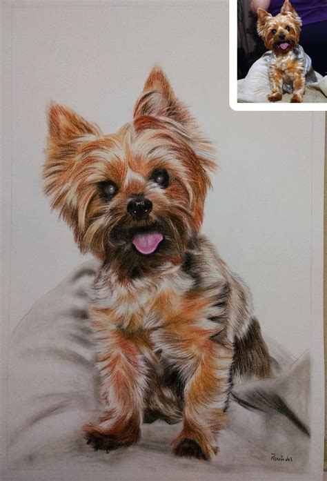 Custom Dog Portrait Photo to Sketch Pencil Sketch Dog | Etsy