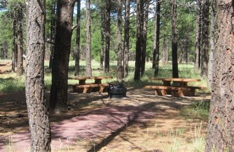 Kaibab National Forest Kaibab Lake Campground, Williams, AZ - GPS ...