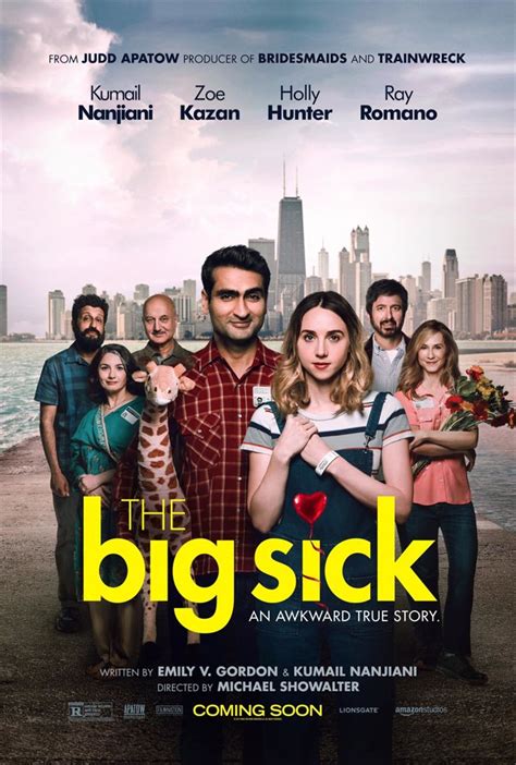 The Big Sick (2017)