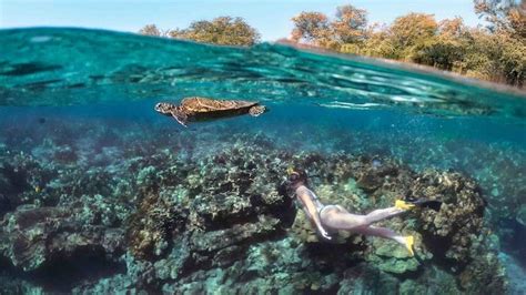 Kona Snorkel Trips | Kona Snorkeling & Manta Ray Snorkel