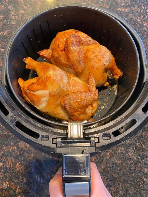 cornish hen recipes air fryer - Berenice Goff