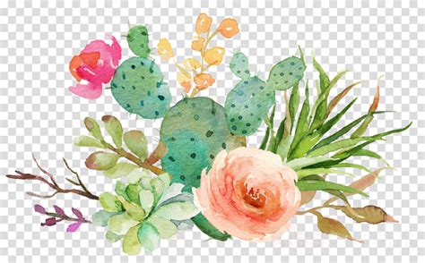 Cactus Border Png