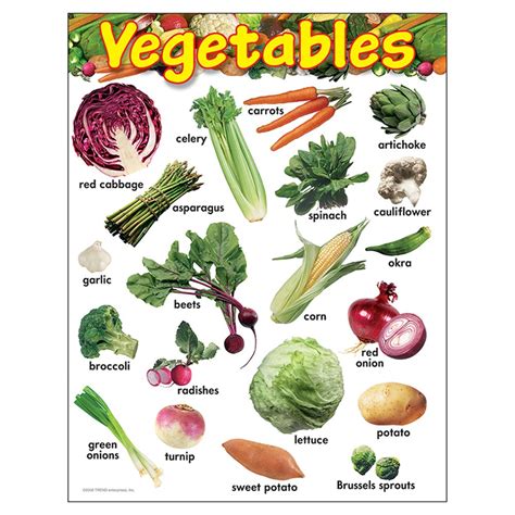 Vegetables Learning Chart, 17" x 22" - T-38248 | Trend Enterprises Inc ...