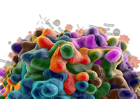 Biofilm Basics: How It's Formed - Sterilex®