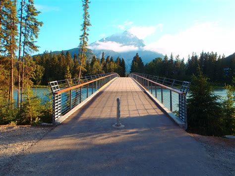 Bow River Pedestrian Bridge by StructureCraft - Architizer