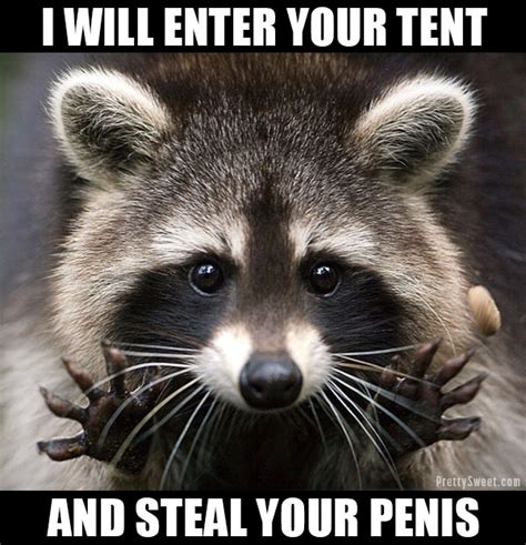 21 Hate Camping Memes: Raccoons, Spiders, Bears, Oh My!