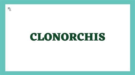 Clonorchis sinensis | Liver Fluke | Clonorchis Morphology, Life Cycle ...