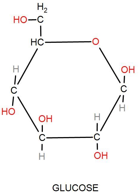 Pentose Sugar Structure