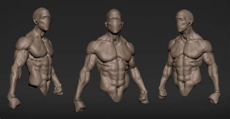 Speed Sculpt by Matthew Kean | Anatomy sculpture, Anatomy tutorial ...