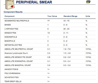 jm's Adventure with Multiple Myeloma: Lab Results - April 28 2012