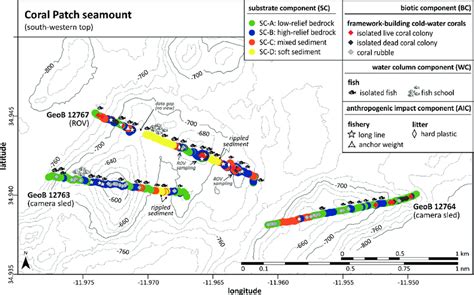 Isobath-map of the south-western top area of Coral Patch seamount ...