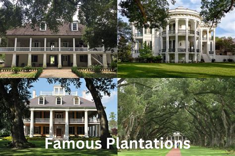 10 Most Famous Plantations - Have Fun With History