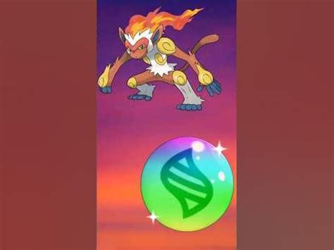 What if Ash Infernape Had Mega Evolution | Pokemon Mega Evolution ...