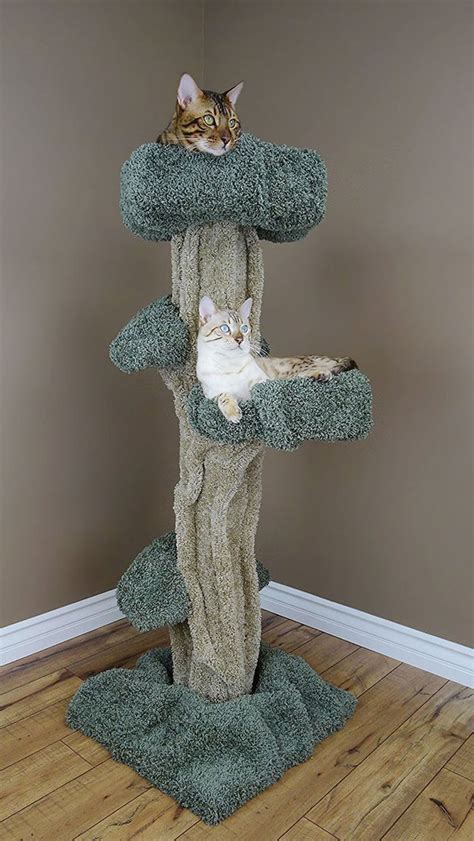 New Cat Condos Premier Cat Tree - Slash Pets