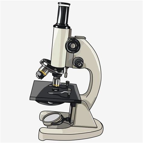 Microscopio Médico Microscopio Médico Pintado A Mano Microscopio Médico ...