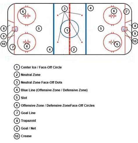 Field Hockey Positions Names