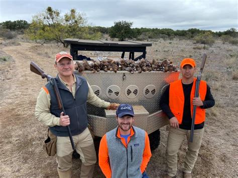 Quail Hunting - Guided Quail Hunts in Texas | Schmidt Double T Ranches