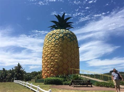 The Big Pineapple (Bathurst): UPDATED 2020 All You Need to Know Before ...