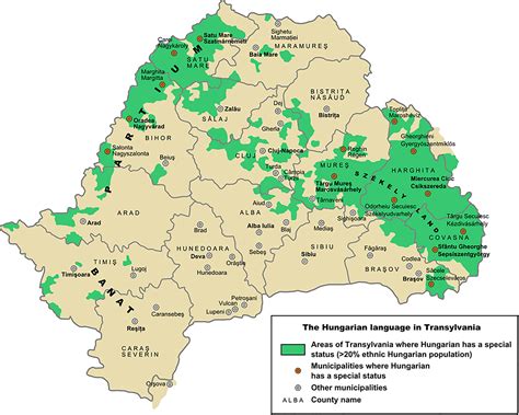 “Creating the illusion of speaking Romanian well”: Hungarian speakers ...