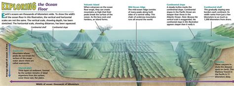 Major and Minor Ocean Relief Features | PMF IAS