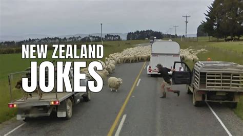 60 Funny New Zealand (NZ) Jokes For Kiwi People In 2024