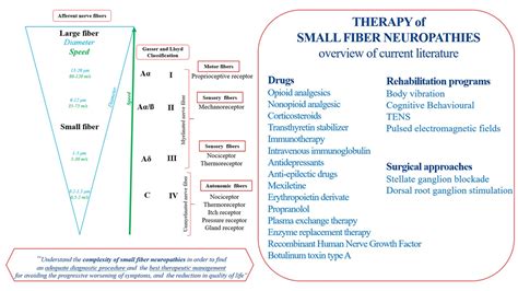 Diagnostics | Free Full-Text | A Systematic Review of Pharmacologic and ...