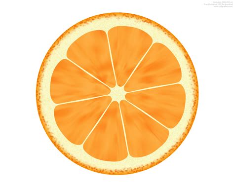 Orange Slices Clipart | Free download on ClipArtMag