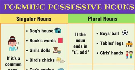 Possessive Nouns: Forming the Possessive Noun with Easy Examples