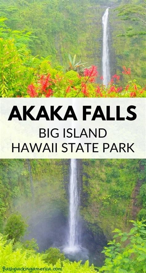 Akaka Falls State Park 🌴 Best way to hike the Akaka Falls trail for the ...