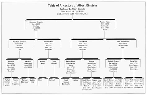 Einstein Family Tree Ntable Of Ancestors Of American (German-Born ...