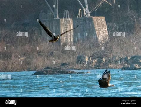 Over the river Stock Photo - Alamy