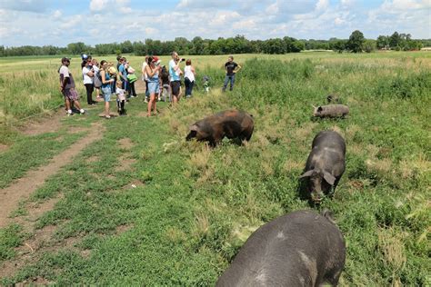 Farm Tours