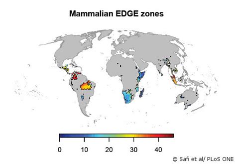 EDGE Zones – EDGE species mapped for the first time - EDGE of Existence