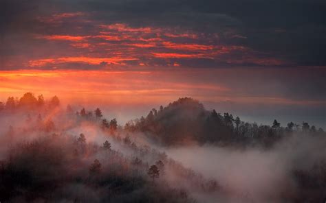 nature, Landscape, Mist, Sunrise, Mountain, Forest, Sky, Trees ...