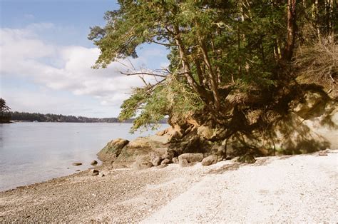 Indian Island County Park — Washington Trails Association