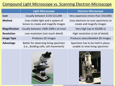 PPT - The Microscope PowerPoint Presentation - ID:2185863