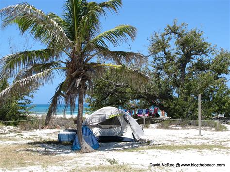 The Reality of Florida Beach Camping | Blog The Beach