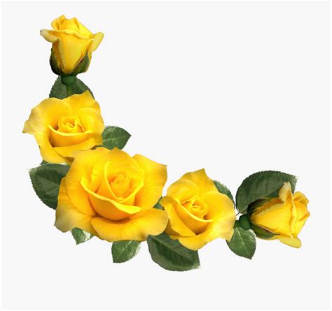 Download High Quality flowers transparent yellow Transparent PNG Images ...