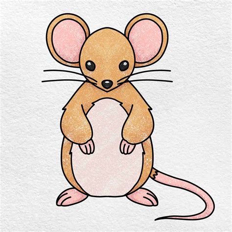 Discover 142+ mouse images drawing best - seven.edu.vn